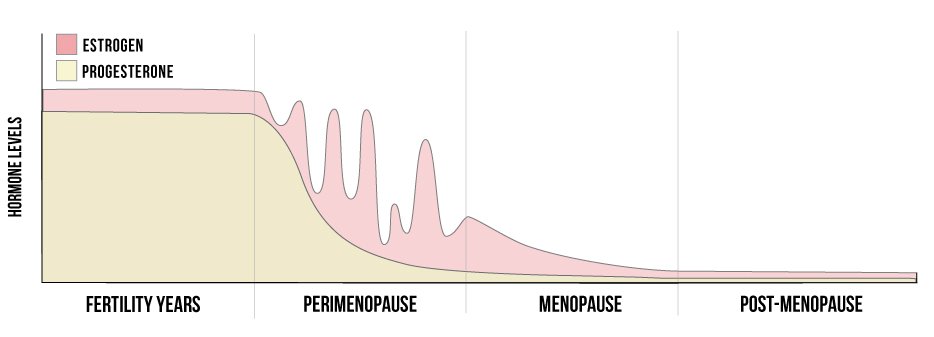 Blood Hormones Graph