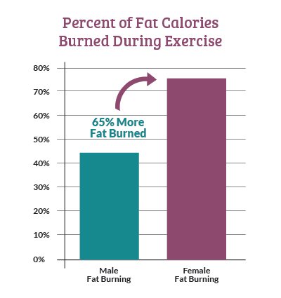 Percent of Fat Calories Burned During Exercise