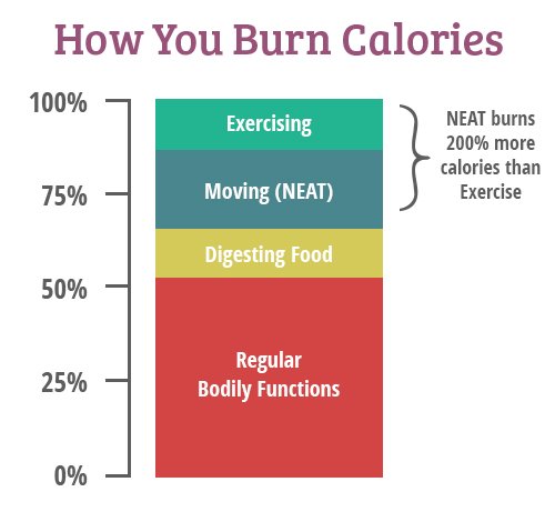 How to burn calories graph